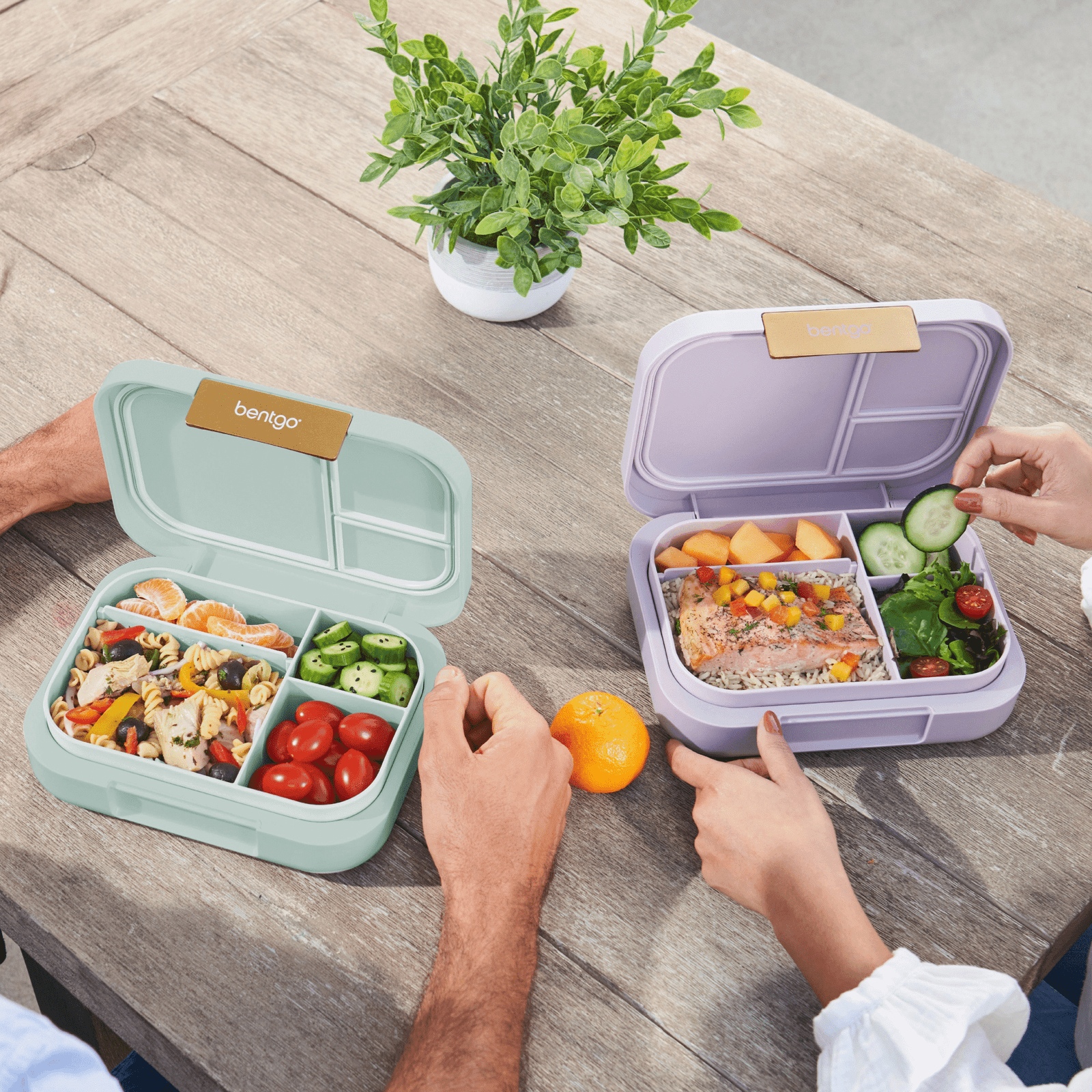 Top 3 Bento Lunch Boxes on Amazon: Detailed Reviews & Comparison (2025)